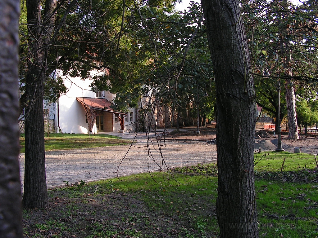 PICT5522.JPG