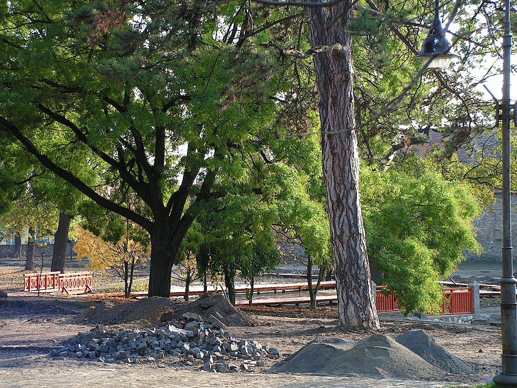 PICT5523.JPG