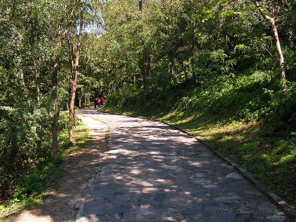 PICT4255.JPG