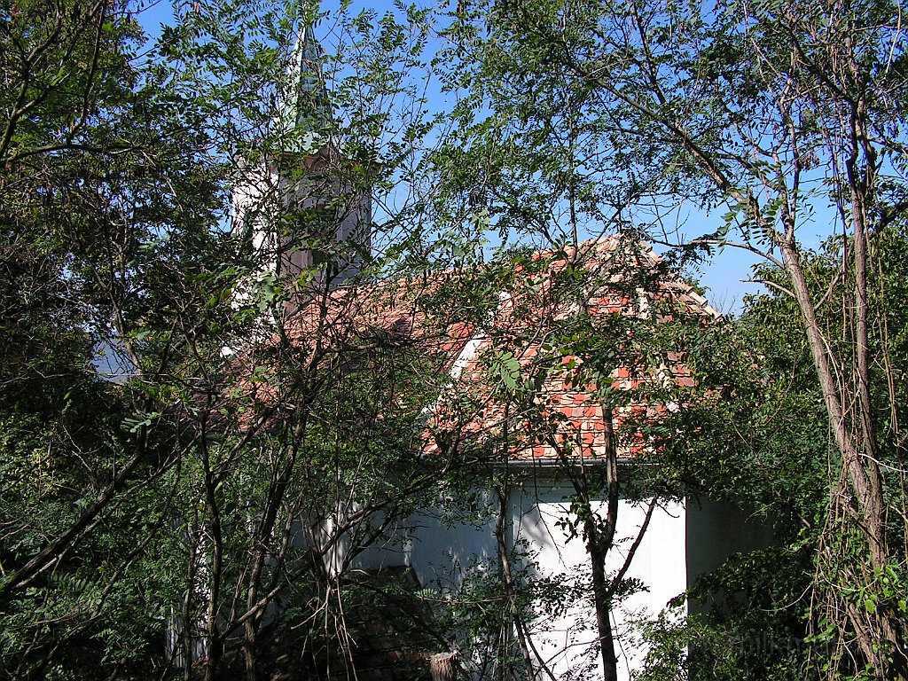 PICT4256.JPG