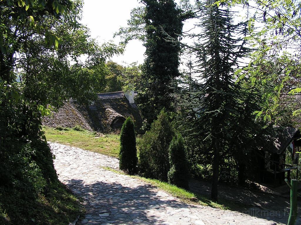 PICT4257.JPG