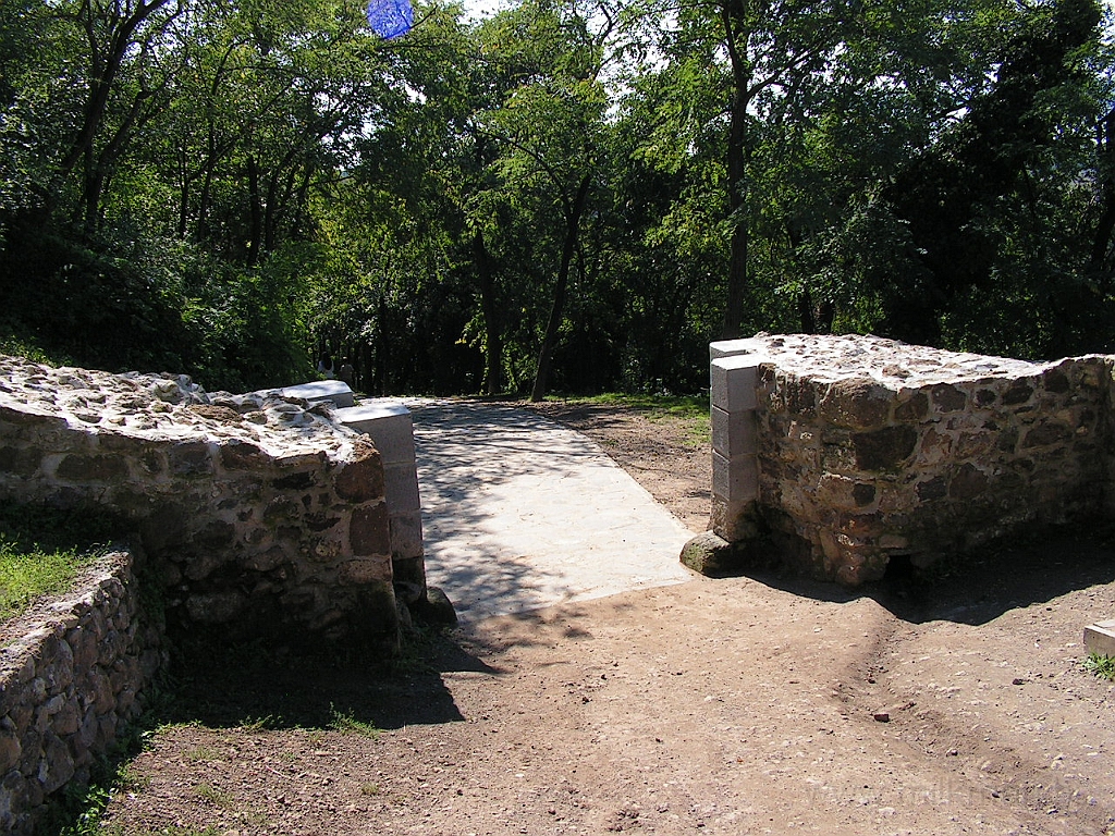 PICT4481.JPG
