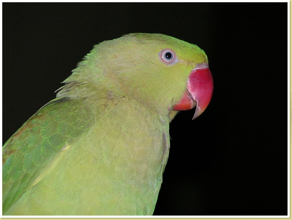PICT0010