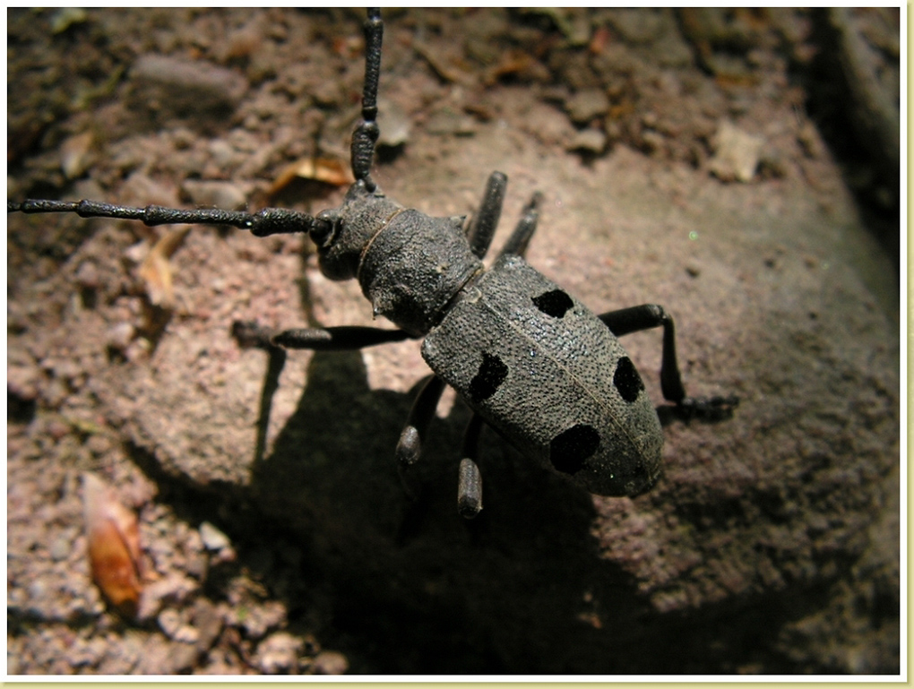 PICT0150_resize