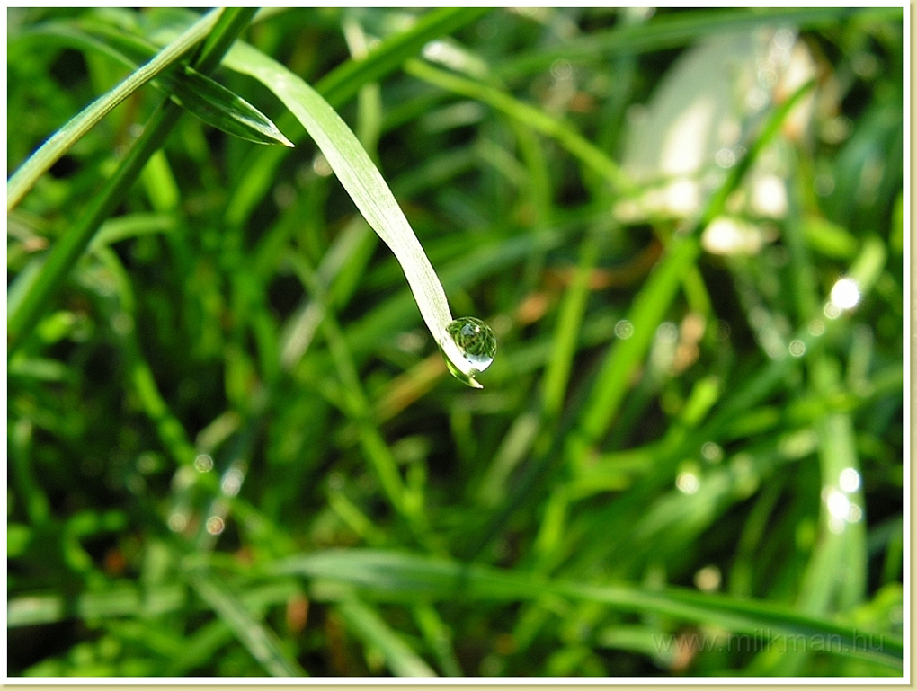 PICT0007