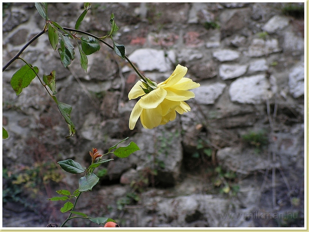 PICT0146