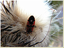 PICT0016