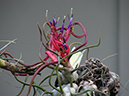 PICT0271