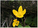 PICT0588