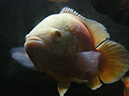 PICT0069